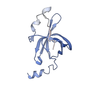 22459_7jss_p_v1-1
ArfB Rescue of a 70S Ribosome stalled on truncated mRNA with a partial A-site codon (+2-II)