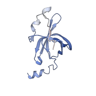 22459_7jss_p_v1-2
ArfB Rescue of a 70S Ribosome stalled on truncated mRNA with a partial A-site codon (+2-II)