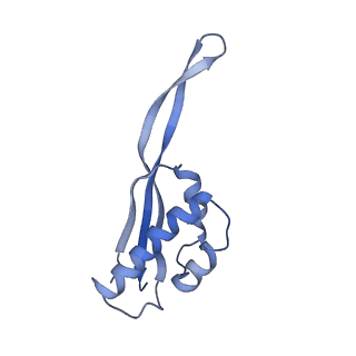 22459_7jss_s_v1-1
ArfB Rescue of a 70S Ribosome stalled on truncated mRNA with a partial A-site codon (+2-II)