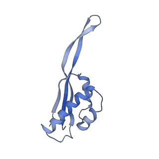 22459_7jss_s_v1-2
ArfB Rescue of a 70S Ribosome stalled on truncated mRNA with a partial A-site codon (+2-II)