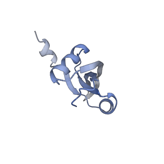 22459_7jss_t_v1-1
ArfB Rescue of a 70S Ribosome stalled on truncated mRNA with a partial A-site codon (+2-II)