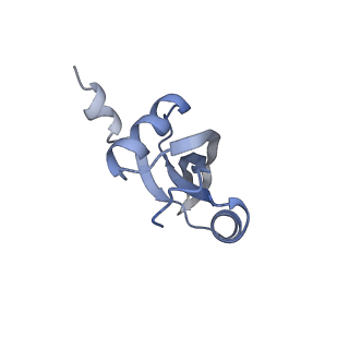 22459_7jss_t_v1-2
ArfB Rescue of a 70S Ribosome stalled on truncated mRNA with a partial A-site codon (+2-II)