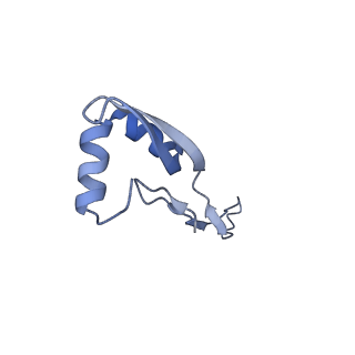 22459_7jss_x_v1-1
ArfB Rescue of a 70S Ribosome stalled on truncated mRNA with a partial A-site codon (+2-II)