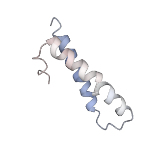22459_7jss_y_v1-1
ArfB Rescue of a 70S Ribosome stalled on truncated mRNA with a partial A-site codon (+2-II)
