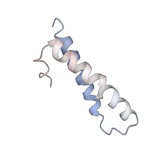 22459_7jss_y_v1-2
ArfB Rescue of a 70S Ribosome stalled on truncated mRNA with a partial A-site codon (+2-II)