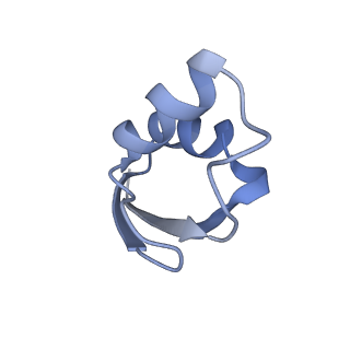 22459_7jss_z_v1-1
ArfB Rescue of a 70S Ribosome stalled on truncated mRNA with a partial A-site codon (+2-II)