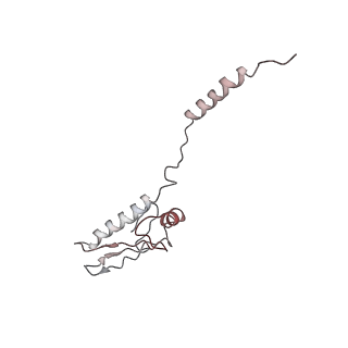 22461_7jsw_8_v1-1
ArfB Rescue of a 70S Ribosome stalled on truncated mRNA with a partial A-site codon (+2-III)