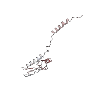 22461_7jsw_8_v1-2
ArfB Rescue of a 70S Ribosome stalled on truncated mRNA with a partial A-site codon (+2-III)