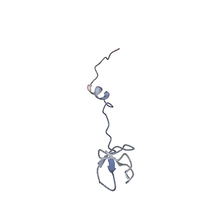 22461_7jsw_B_v1-1
ArfB Rescue of a 70S Ribosome stalled on truncated mRNA with a partial A-site codon (+2-III)