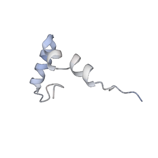 22461_7jsw_D_v1-1
ArfB Rescue of a 70S Ribosome stalled on truncated mRNA with a partial A-site codon (+2-III)