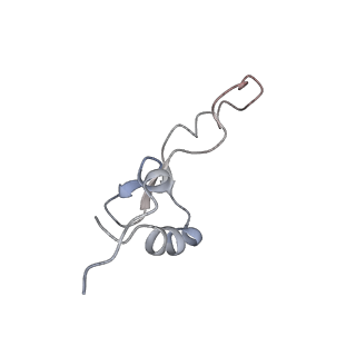 22461_7jsw_E_v1-1
ArfB Rescue of a 70S Ribosome stalled on truncated mRNA with a partial A-site codon (+2-III)