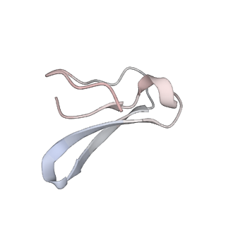 22461_7jsw_F_v1-2
ArfB Rescue of a 70S Ribosome stalled on truncated mRNA with a partial A-site codon (+2-III)