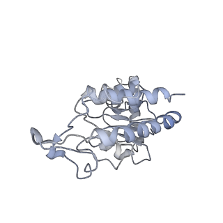 22461_7jsw_G_v1-2
ArfB Rescue of a 70S Ribosome stalled on truncated mRNA with a partial A-site codon (+2-III)