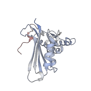 22461_7jsw_H_v1-1
ArfB Rescue of a 70S Ribosome stalled on truncated mRNA with a partial A-site codon (+2-III)