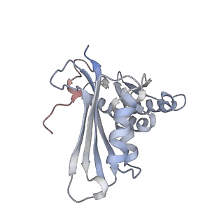 22461_7jsw_H_v1-2
ArfB Rescue of a 70S Ribosome stalled on truncated mRNA with a partial A-site codon (+2-III)