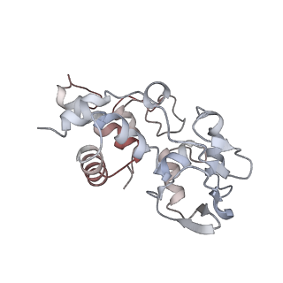 22461_7jsw_I_v1-1
ArfB Rescue of a 70S Ribosome stalled on truncated mRNA with a partial A-site codon (+2-III)