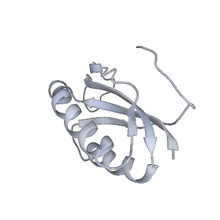 22461_7jsw_K_v1-1
ArfB Rescue of a 70S Ribosome stalled on truncated mRNA with a partial A-site codon (+2-III)