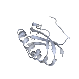 22461_7jsw_K_v1-2
ArfB Rescue of a 70S Ribosome stalled on truncated mRNA with a partial A-site codon (+2-III)