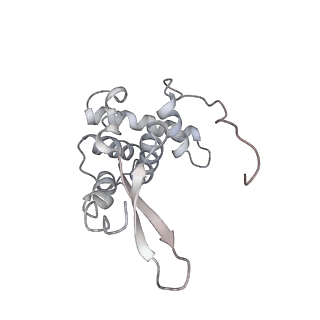22461_7jsw_L_v1-1
ArfB Rescue of a 70S Ribosome stalled on truncated mRNA with a partial A-site codon (+2-III)