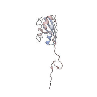 22461_7jsw_N_v1-1
ArfB Rescue of a 70S Ribosome stalled on truncated mRNA with a partial A-site codon (+2-III)