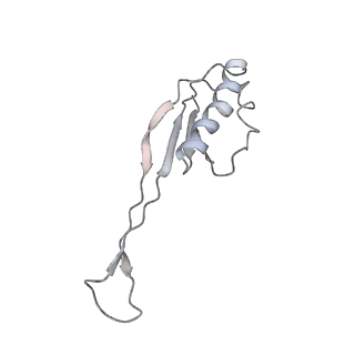 22461_7jsw_O_v1-1
ArfB Rescue of a 70S Ribosome stalled on truncated mRNA with a partial A-site codon (+2-III)