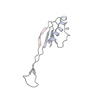 22461_7jsw_O_v1-2
ArfB Rescue of a 70S Ribosome stalled on truncated mRNA with a partial A-site codon (+2-III)