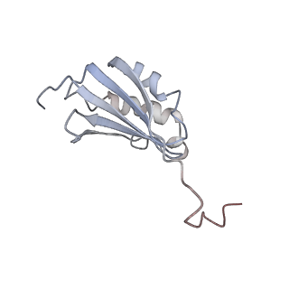 22461_7jsw_P_v1-1
ArfB Rescue of a 70S Ribosome stalled on truncated mRNA with a partial A-site codon (+2-III)