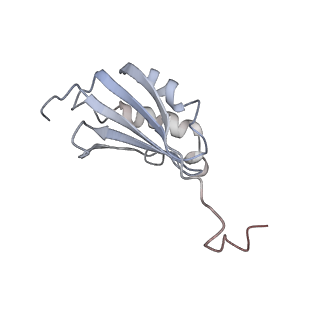 22461_7jsw_P_v1-2
ArfB Rescue of a 70S Ribosome stalled on truncated mRNA with a partial A-site codon (+2-III)