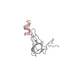 22461_7jsw_Q_v1-1
ArfB Rescue of a 70S Ribosome stalled on truncated mRNA with a partial A-site codon (+2-III)