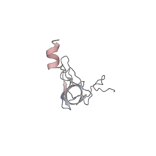 22461_7jsw_Q_v1-2
ArfB Rescue of a 70S Ribosome stalled on truncated mRNA with a partial A-site codon (+2-III)