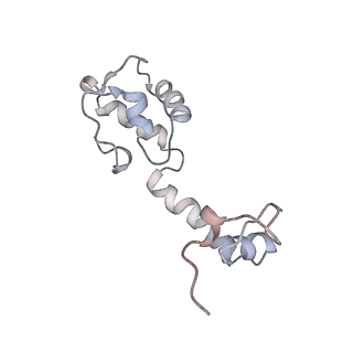 22461_7jsw_R_v1-1
ArfB Rescue of a 70S Ribosome stalled on truncated mRNA with a partial A-site codon (+2-III)