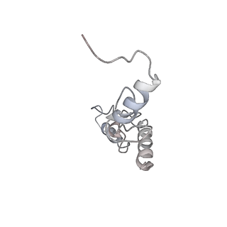 22461_7jsw_S_v1-1
ArfB Rescue of a 70S Ribosome stalled on truncated mRNA with a partial A-site codon (+2-III)