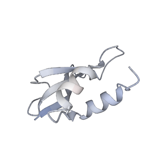 22461_7jsw_U_v1-2
ArfB Rescue of a 70S Ribosome stalled on truncated mRNA with a partial A-site codon (+2-III)