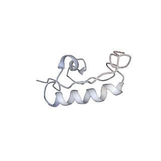 22461_7jsw_W_v1-1
ArfB Rescue of a 70S Ribosome stalled on truncated mRNA with a partial A-site codon (+2-III)
