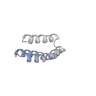 22461_7jsw_Y_v1-2
ArfB Rescue of a 70S Ribosome stalled on truncated mRNA with a partial A-site codon (+2-III)