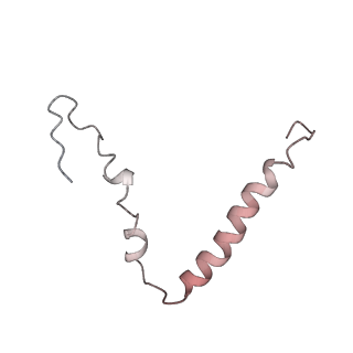 22461_7jsw_Z_v1-2
ArfB Rescue of a 70S Ribosome stalled on truncated mRNA with a partial A-site codon (+2-III)