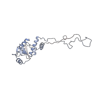 22461_7jsw_d_v1-2
ArfB Rescue of a 70S Ribosome stalled on truncated mRNA with a partial A-site codon (+2-III)