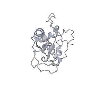 22461_7jsw_e_v1-1
ArfB Rescue of a 70S Ribosome stalled on truncated mRNA with a partial A-site codon (+2-III)