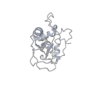 22461_7jsw_e_v1-2
ArfB Rescue of a 70S Ribosome stalled on truncated mRNA with a partial A-site codon (+2-III)