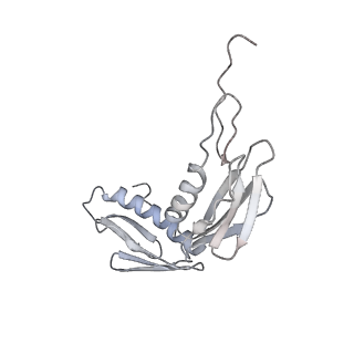22461_7jsw_f_v1-1
ArfB Rescue of a 70S Ribosome stalled on truncated mRNA with a partial A-site codon (+2-III)