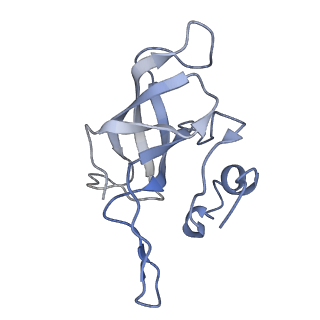 22461_7jsw_k_v1-2
ArfB Rescue of a 70S Ribosome stalled on truncated mRNA with a partial A-site codon (+2-III)