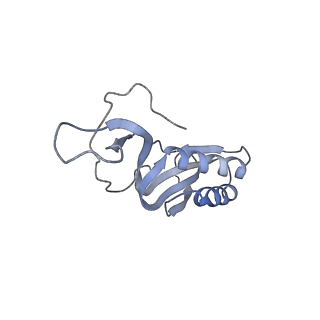 22461_7jsw_m_v1-2
ArfB Rescue of a 70S Ribosome stalled on truncated mRNA with a partial A-site codon (+2-III)