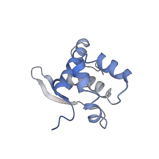 22461_7jsw_n_v1-1
ArfB Rescue of a 70S Ribosome stalled on truncated mRNA with a partial A-site codon (+2-III)