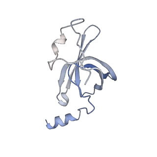 22461_7jsw_p_v1-1
ArfB Rescue of a 70S Ribosome stalled on truncated mRNA with a partial A-site codon (+2-III)