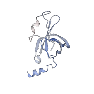 22461_7jsw_p_v1-2
ArfB Rescue of a 70S Ribosome stalled on truncated mRNA with a partial A-site codon (+2-III)