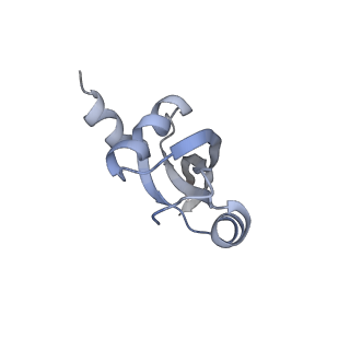 22461_7jsw_t_v1-2
ArfB Rescue of a 70S Ribosome stalled on truncated mRNA with a partial A-site codon (+2-III)