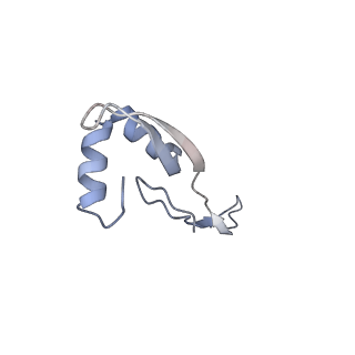 22461_7jsw_x_v1-1
ArfB Rescue of a 70S Ribosome stalled on truncated mRNA with a partial A-site codon (+2-III)