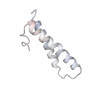 22461_7jsw_y_v1-2
ArfB Rescue of a 70S Ribosome stalled on truncated mRNA with a partial A-site codon (+2-III)