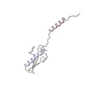 22464_7jsz_8_v1-1
ArfB Rescue of a 70S Ribosome stalled on truncated mRNA with a partial A-site codon (+2-IV)