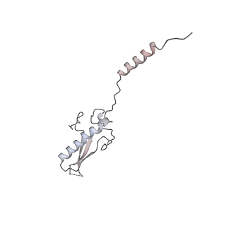 22464_7jsz_8_v1-2
ArfB Rescue of a 70S Ribosome stalled on truncated mRNA with a partial A-site codon (+2-IV)